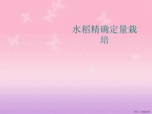 水稻精确定量栽培