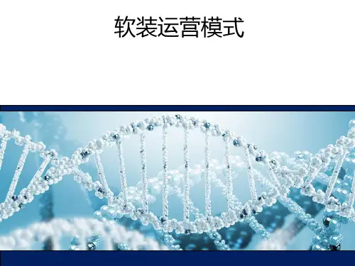 软装经营模式方案