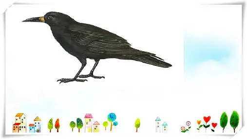 部编版乌鸦喝水PPT课件完美版