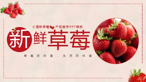 小清新草莓产品宣传PPT模板