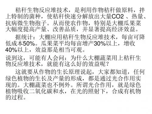 秸秆反应堆