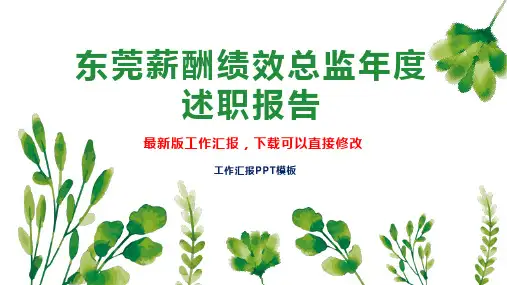 东莞薪酬绩效总监年度述职报告工作总结工作计划PPT模板下载