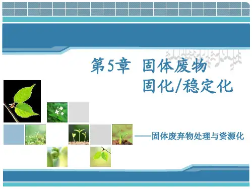 固废-第5章-固体废物固化-稳定化汇总.