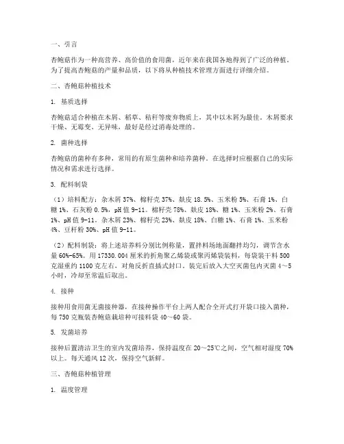 杏鲍菇种植技术管理