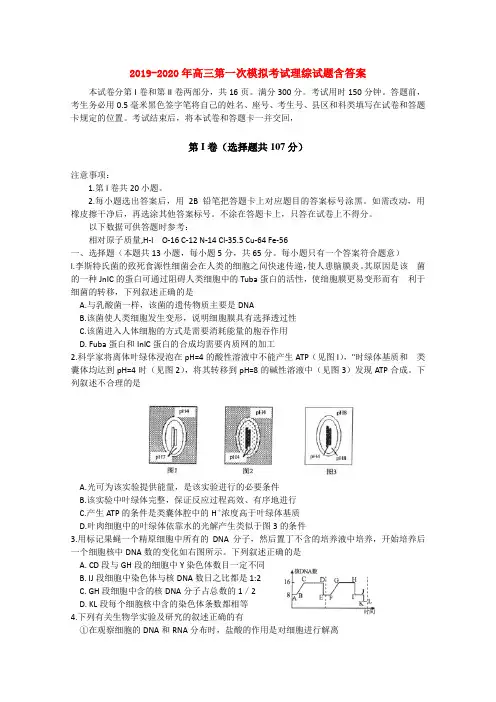 2019-2020年高三第一次模拟考试理综试题含答案