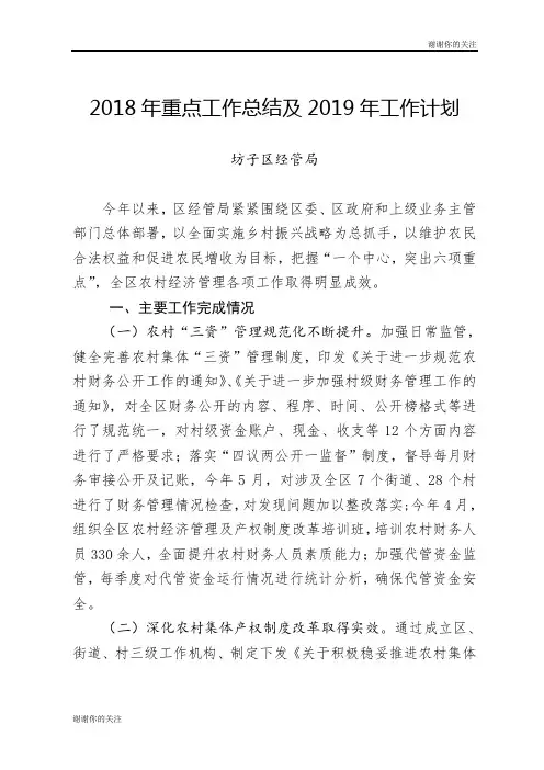 2018年重点工作总结及2019年工作计划 .doc