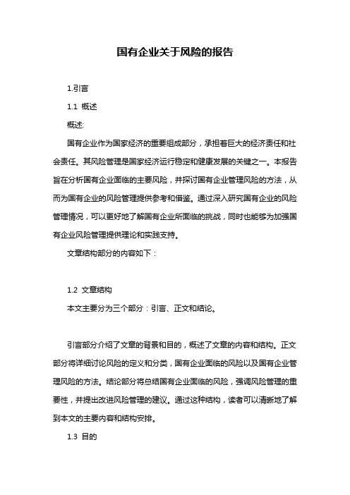 国有企业关于风险的报告