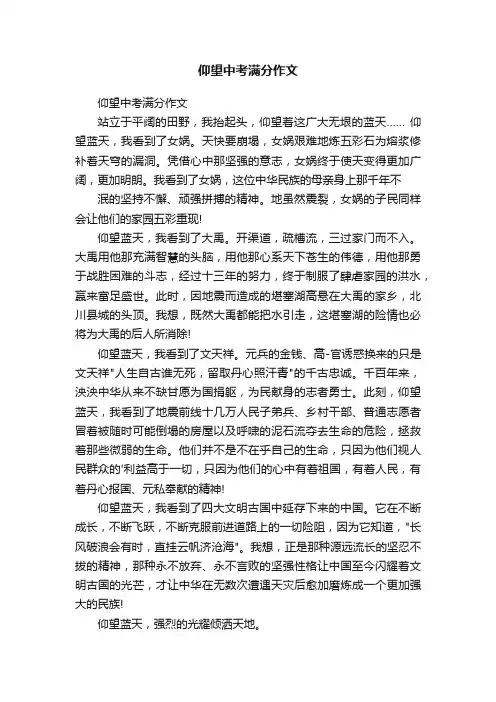 仰望中考满分作文