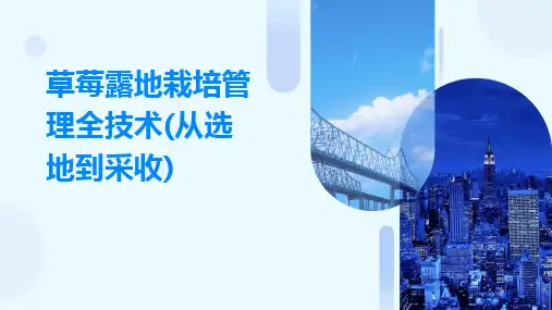 2024版草莓露地栽培管理全技术(从选地到采收)