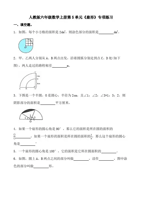 人教版六年级数学上册第5单元《扇形》专项练习