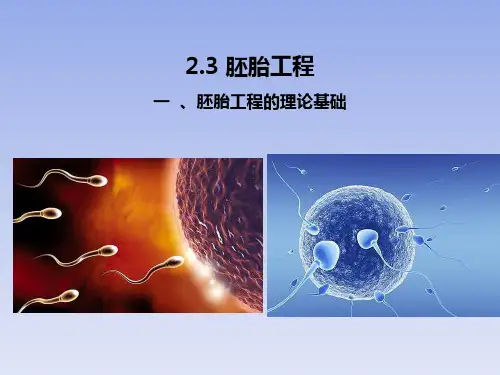 【公开课】胚胎工程的理论基础+课件++2020-2021学年高二下学期生物选择性必修三