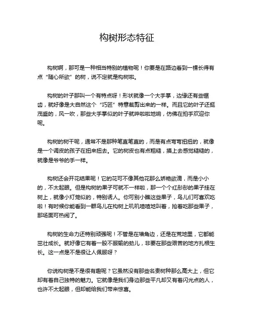 构树形态特征