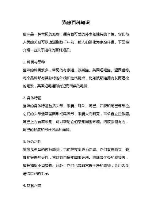 猫咪百科知识