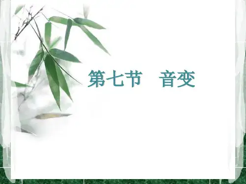 7 音变