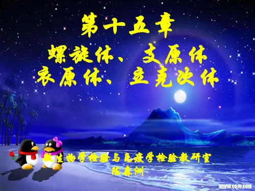 1-第15章 螺旋体、支原体、衣原体、立克次体