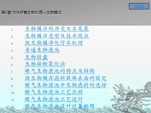 《生物膜法》PPT课件 (2)