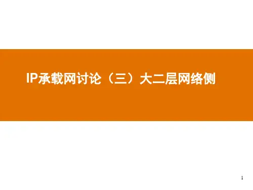 IP承载网讨论(三) 大二层网络侧