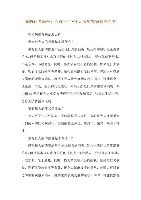 猫的狂犬病是什么样子的-狂犬病猫发病是怎么样