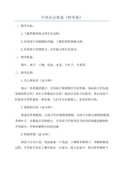 中班社会教案《种草莓》