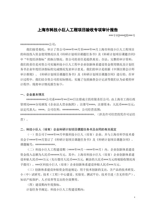 验收专项审计报告模板