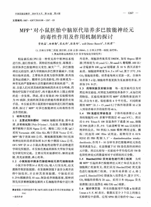 MPP+对小鼠胚胎中脑原代培养多巴胺能神经元的毒性作用及作用机制的探讨