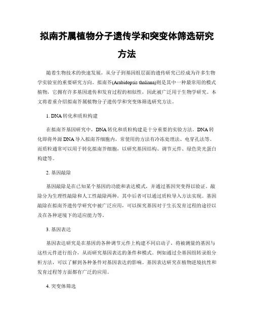 拟南芥属植物分子遗传学和突变体筛选研究方法