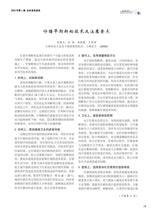 仔猪早期断奶技术及注意要点