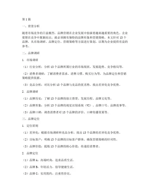 13个品牌营销方案策划(3篇)