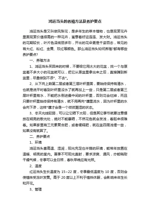 鸿运当头的养殖方法及养护要点