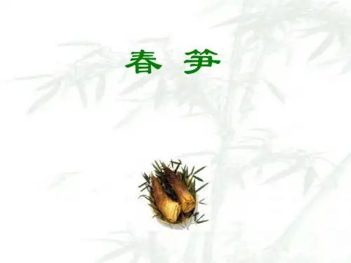 春笋的课件ppt