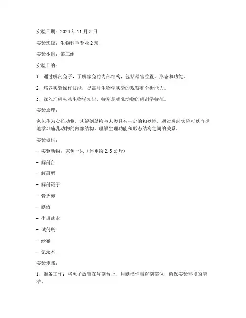 兔子解刨实验报告