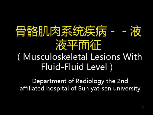 骨骼肌肉系统疾病液液平面征PPT课件