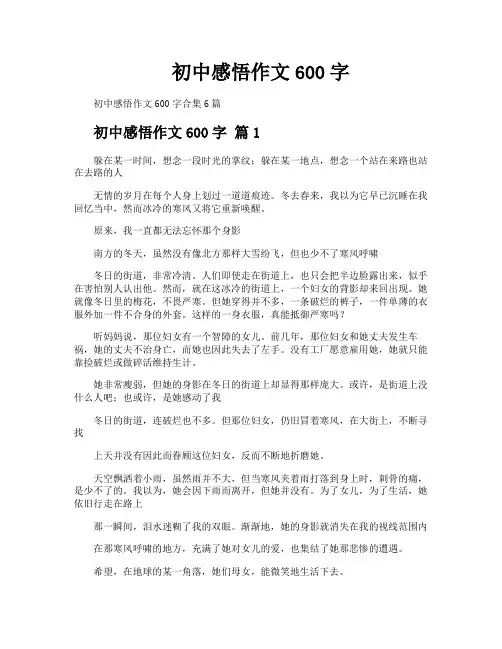 初中感悟作文600字
