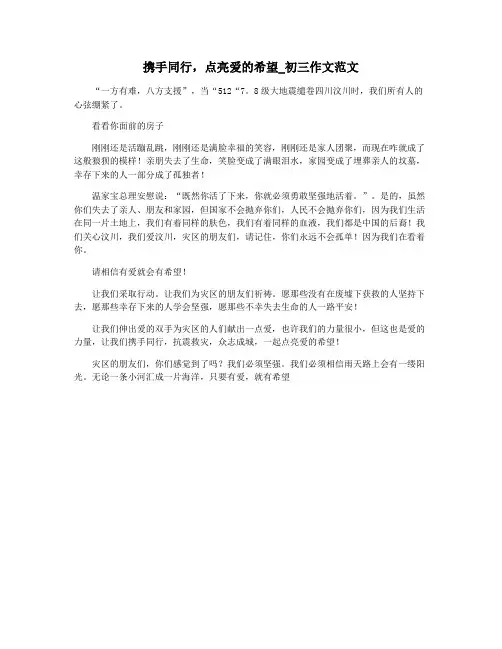 携手同行,点亮爱的希望_初三作文范文