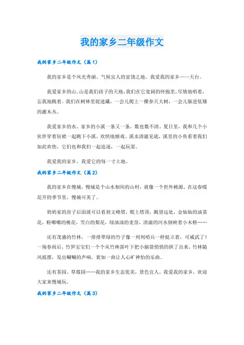 我的家乡二年级作文.doc