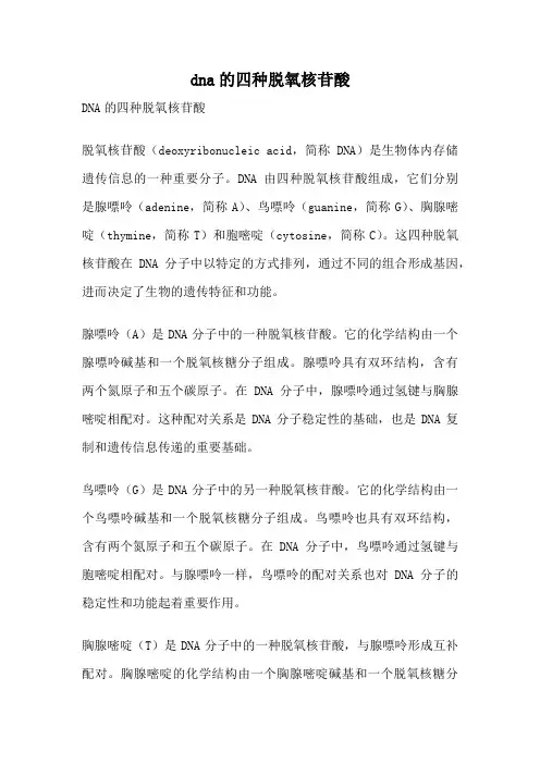 dna的四种脱氧核苷酸