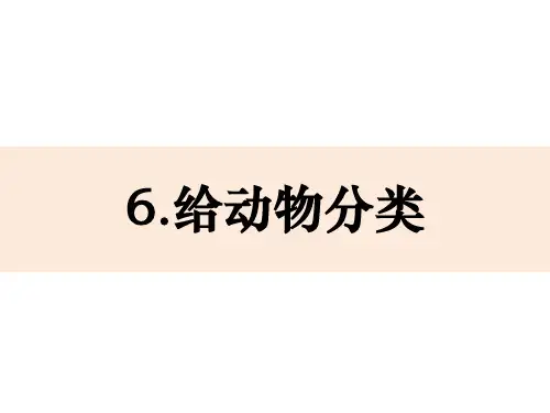 一年级下册科学课件-2-6《给动物分类》教科版(共17张PPT)