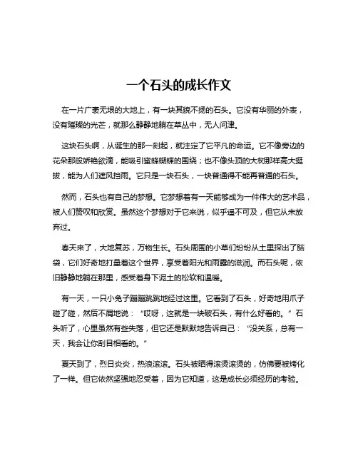 一个石头的成长作文