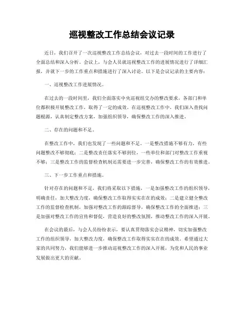 巡视整改工作总结会议记录
