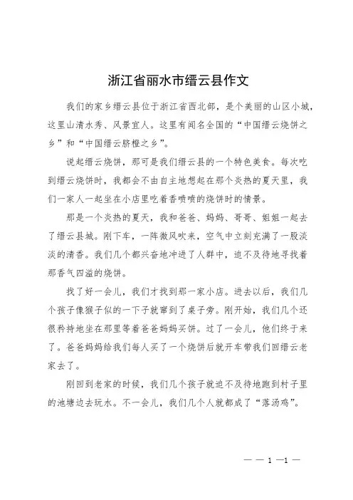 浙江省 丽水市 缙云县作文