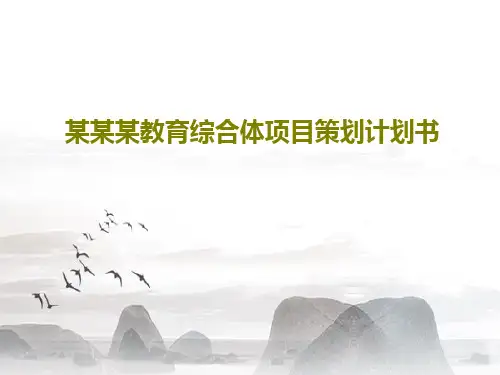 某某某教育综合体项目策划计划书共37页PPT