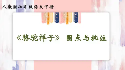 人教七年级语文下册 名著导读《骆驼祥子》