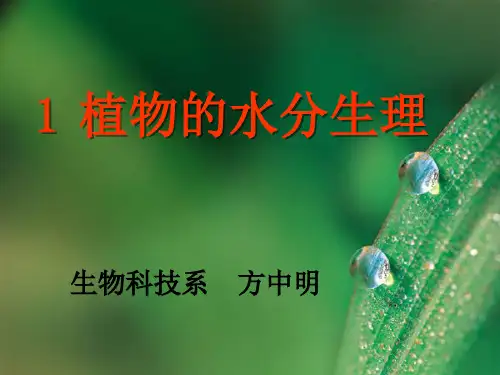 1植物的水分生理
