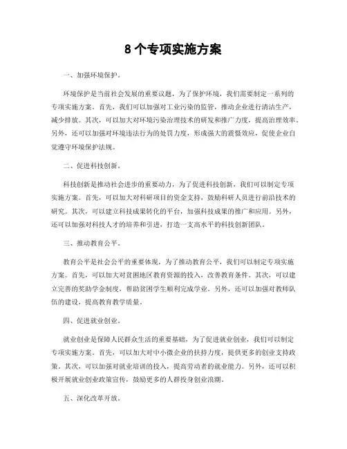 8个专项实施方案