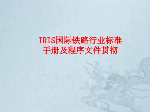 IRIS培训ppt课件