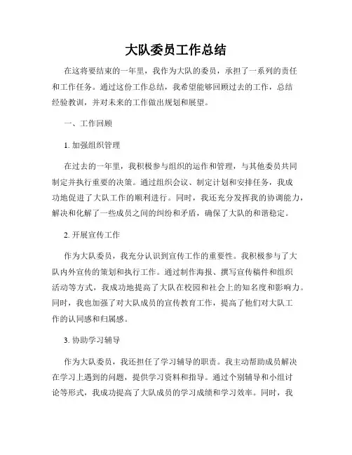 大队委员工作总结