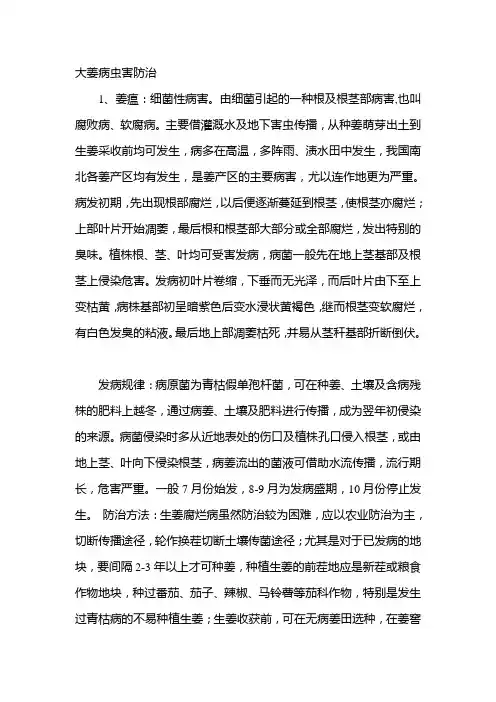 大姜病虫害防治