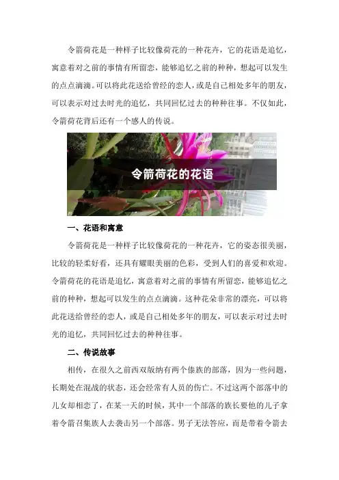 令箭荷花的花语和寓意,有什么传说故事