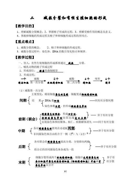减数分裂和有性生殖细胞的形成