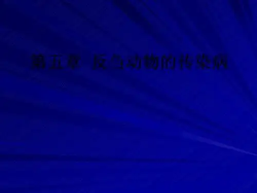 反刍动物的传染病